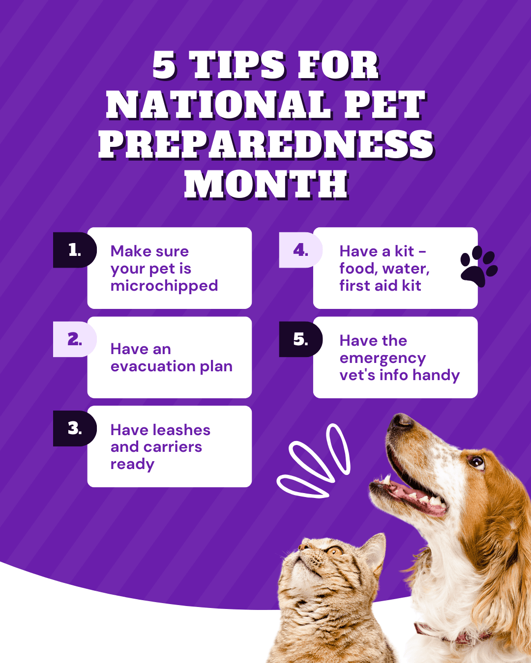 National Pet Preparedness Month