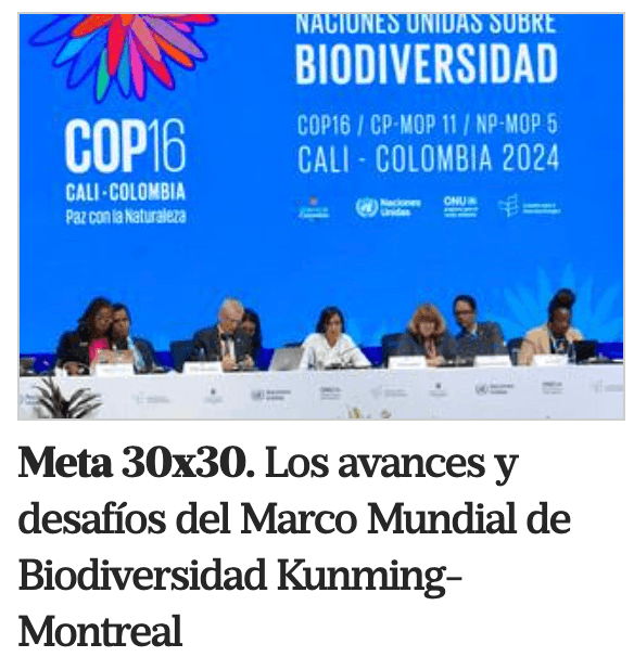 Avances y desafíos del Marco Mundial de Biodiversidad Kunming-Montreal - nota LA NACION