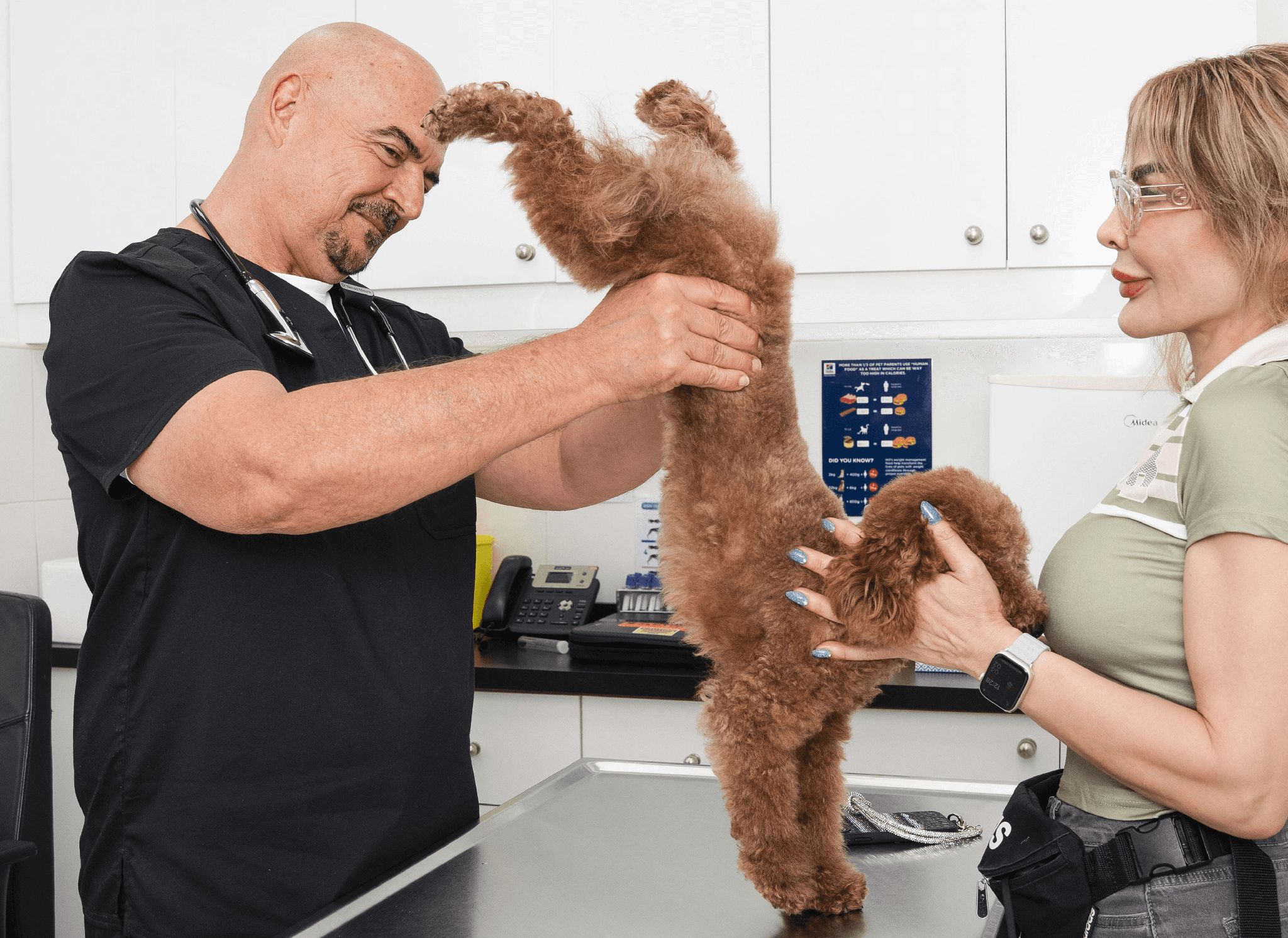 A veterinarian is checking a dog's bottom to check for signs of UTI. The pet owner is helping keep the dog calm.