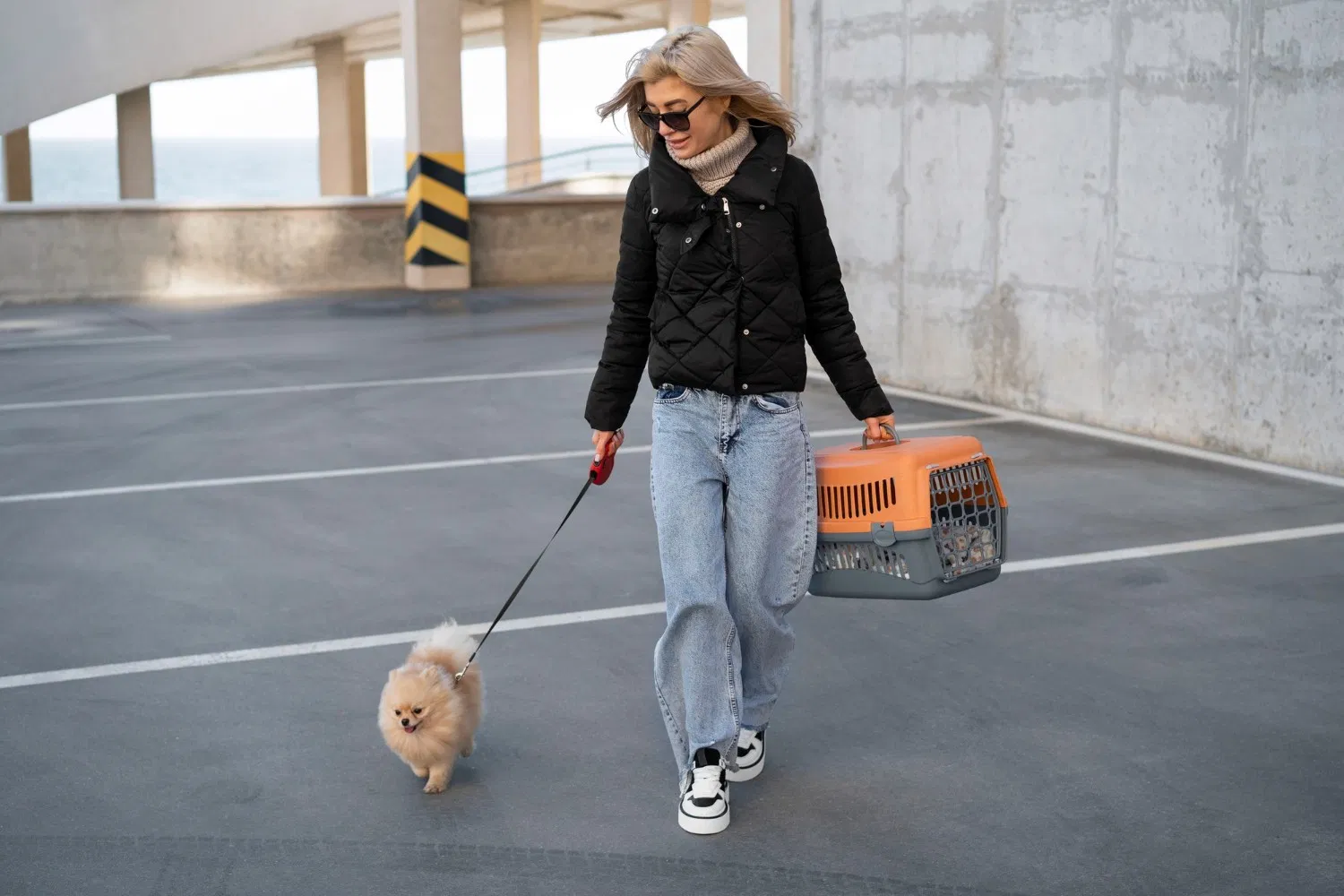 Lakehaven Vet providing veterinary care in Benton, Louisiana.