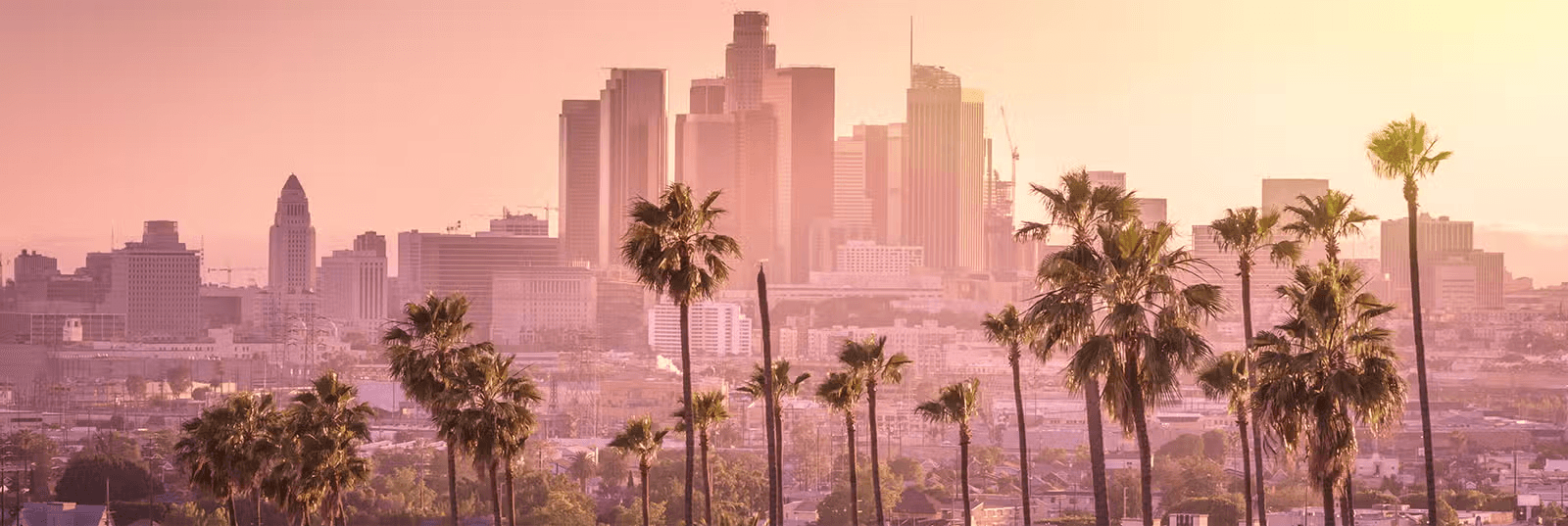 High school student in Los Angeles conducting original research with a PhD mentor online through RISE Global Education