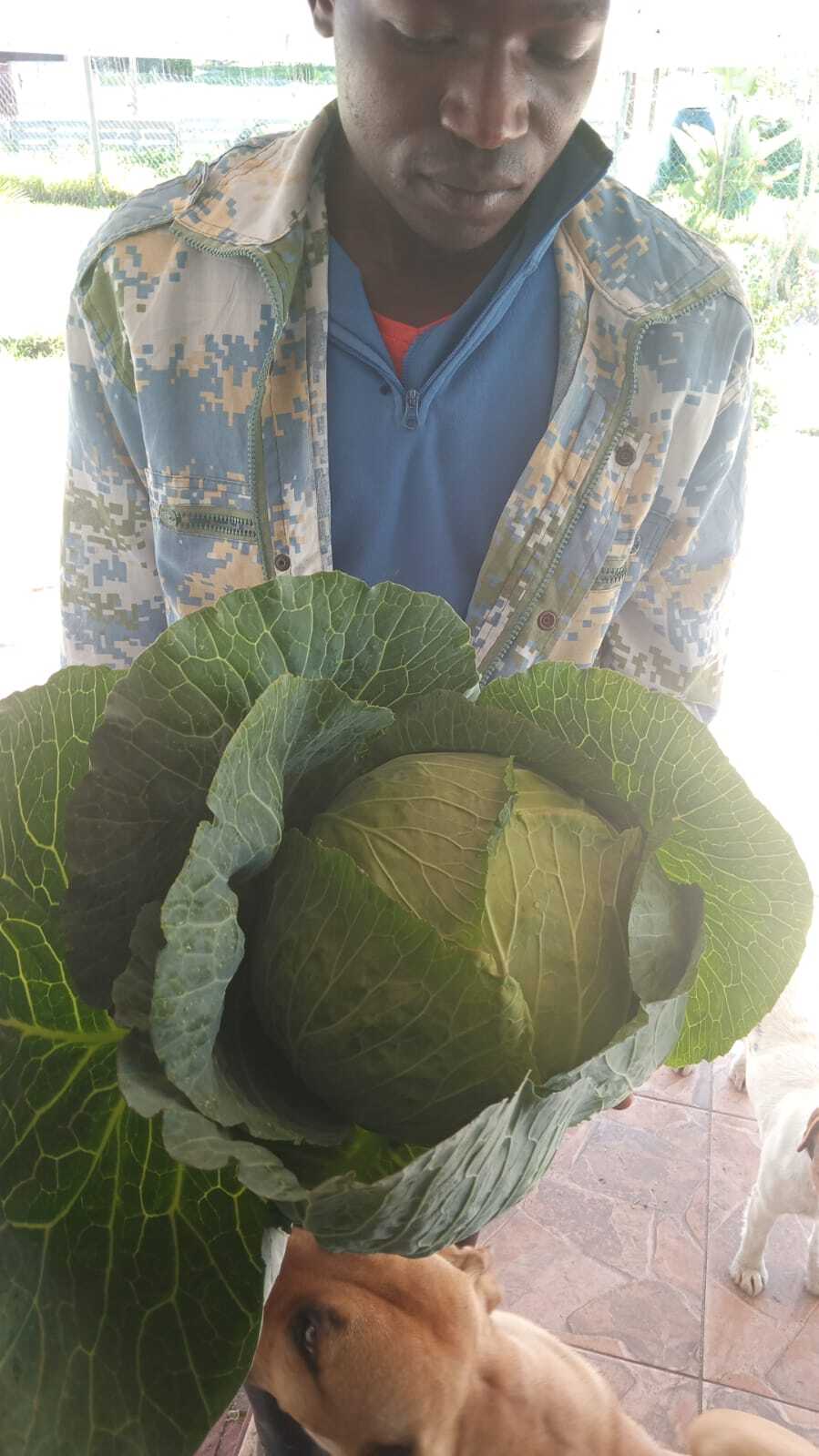 Angelo Marman from Abitz farming