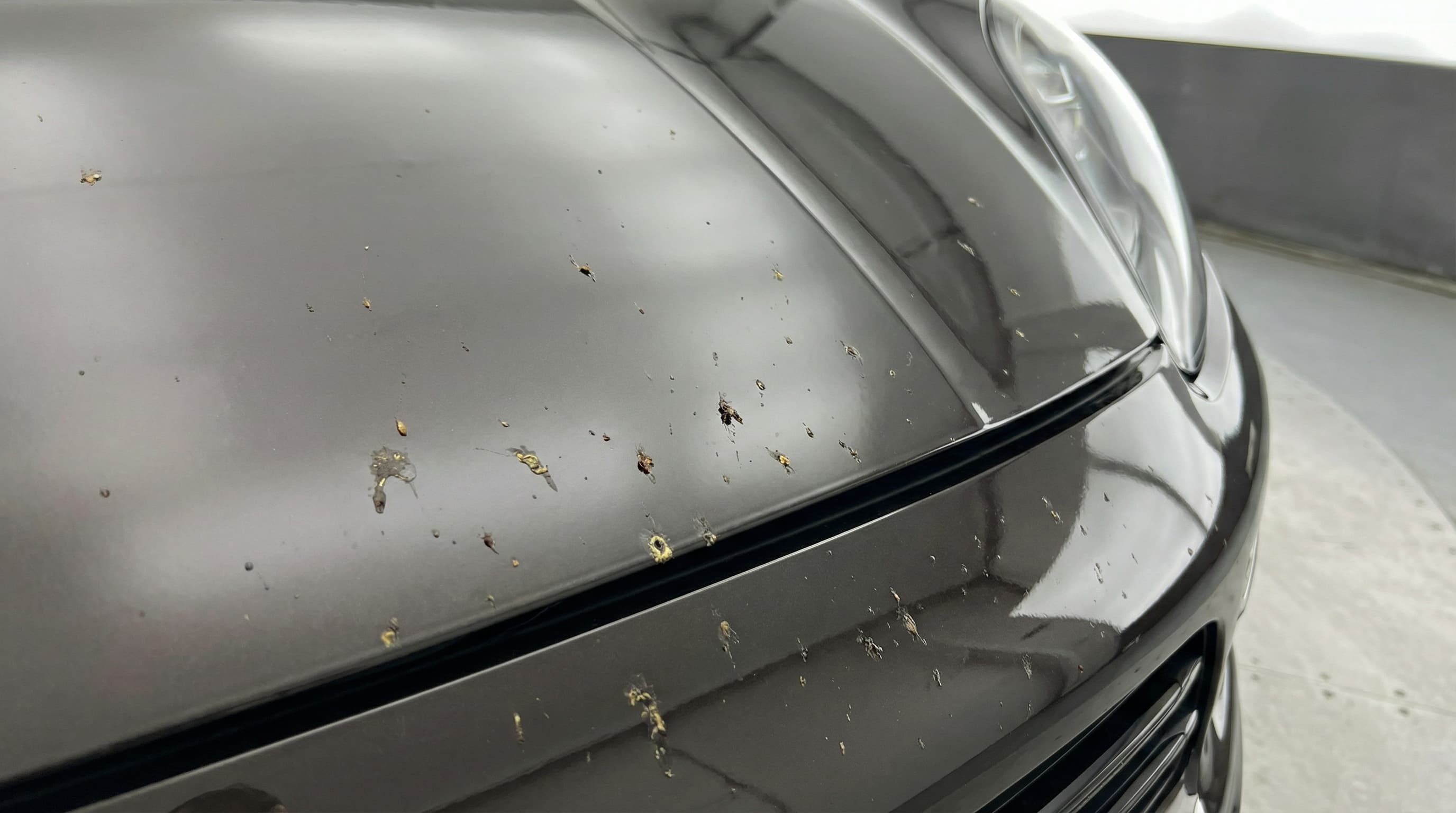 Fientes d’oiseaux sur la peinture d’une Porsche Macan