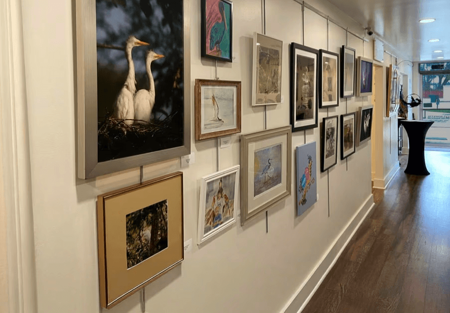 Several bird themed paintings and art pieces hung on the art gallery wall