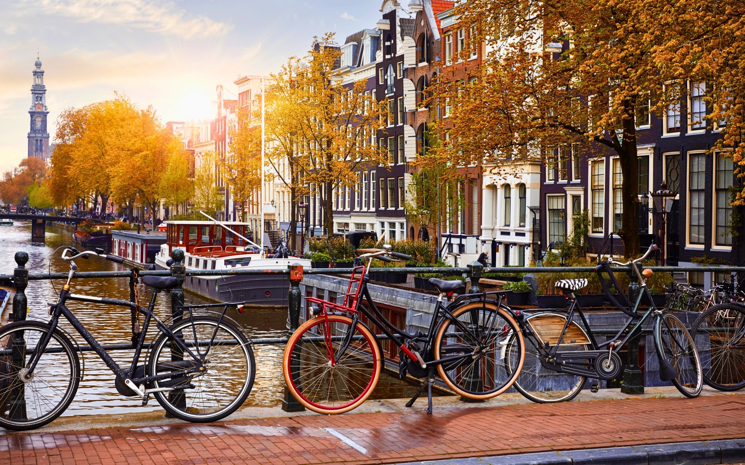 Cykelsemester i Moseldalen – på egen hand