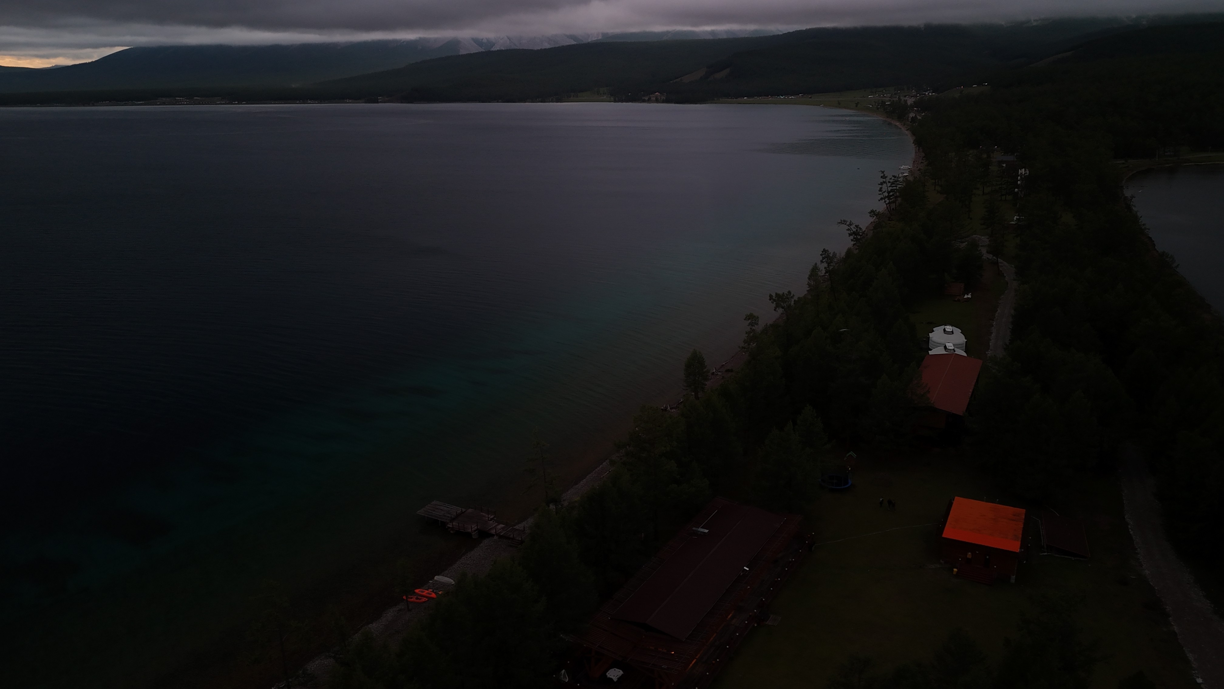 Close-up of a tree stump showing growth rings and a textured brown wood surface.