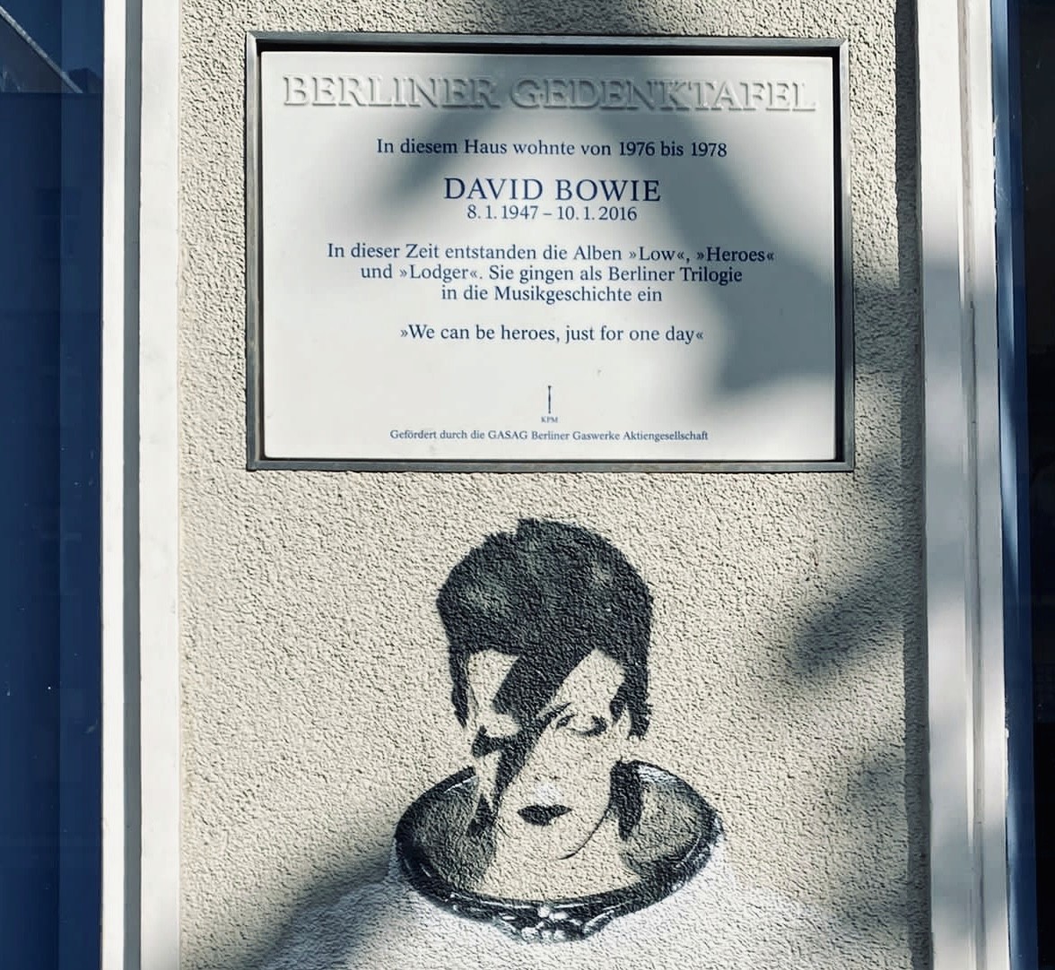 yellow Labrador retriever biting yellow tulip flower