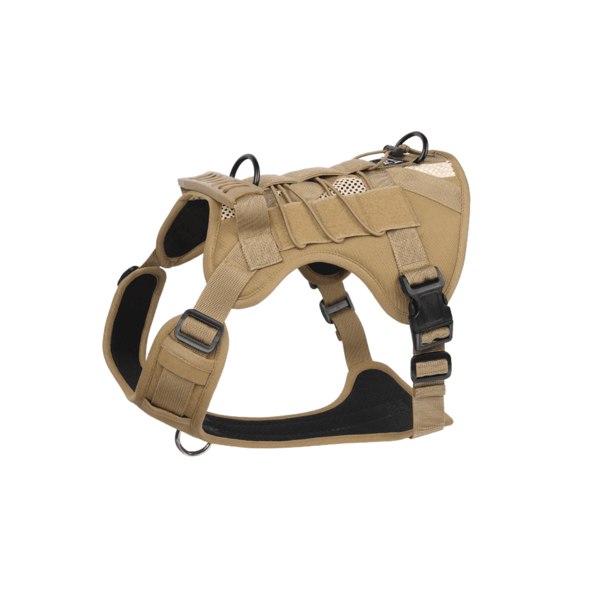 Khaki / M
