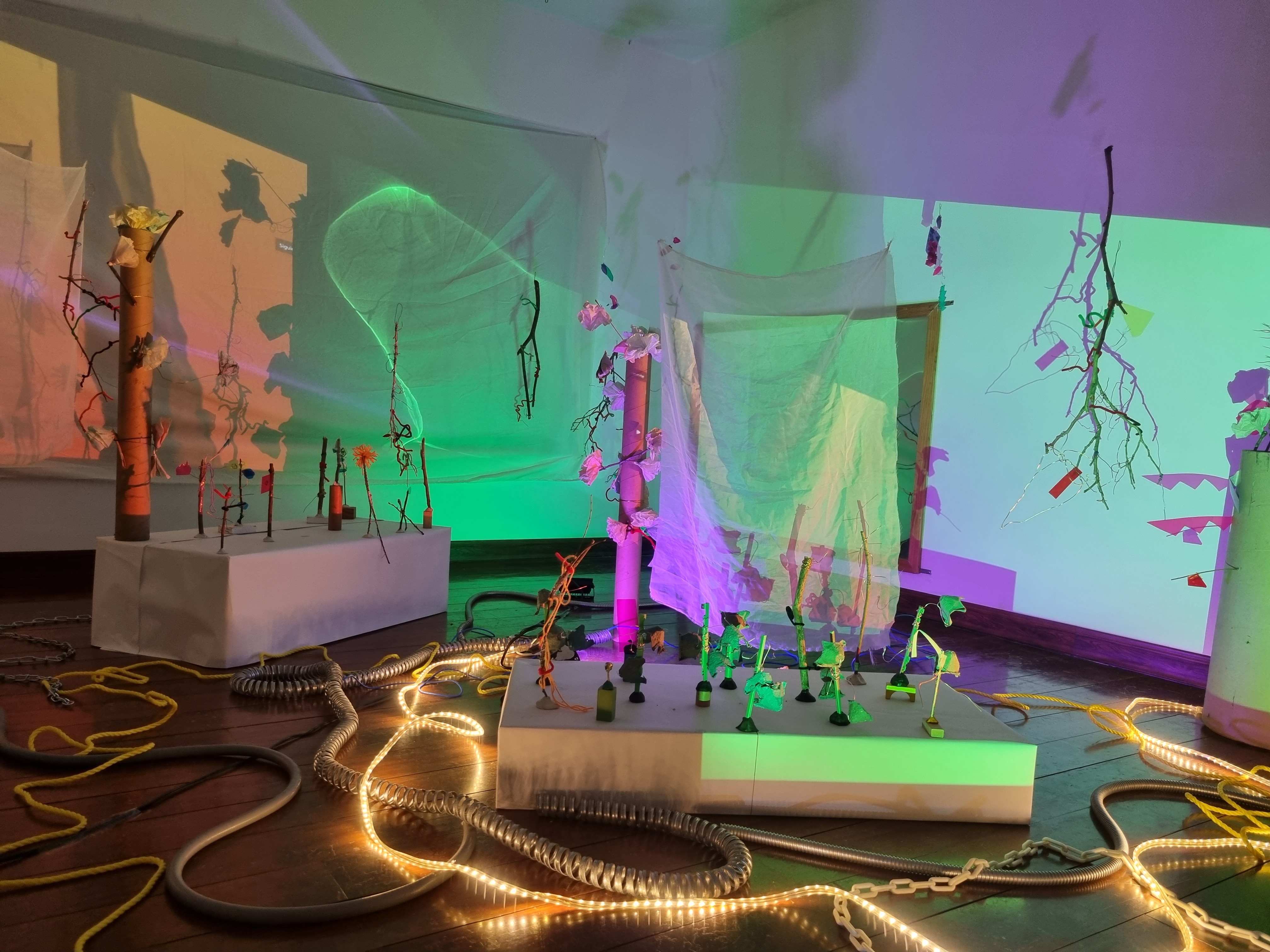 person sitting on grass and using phone