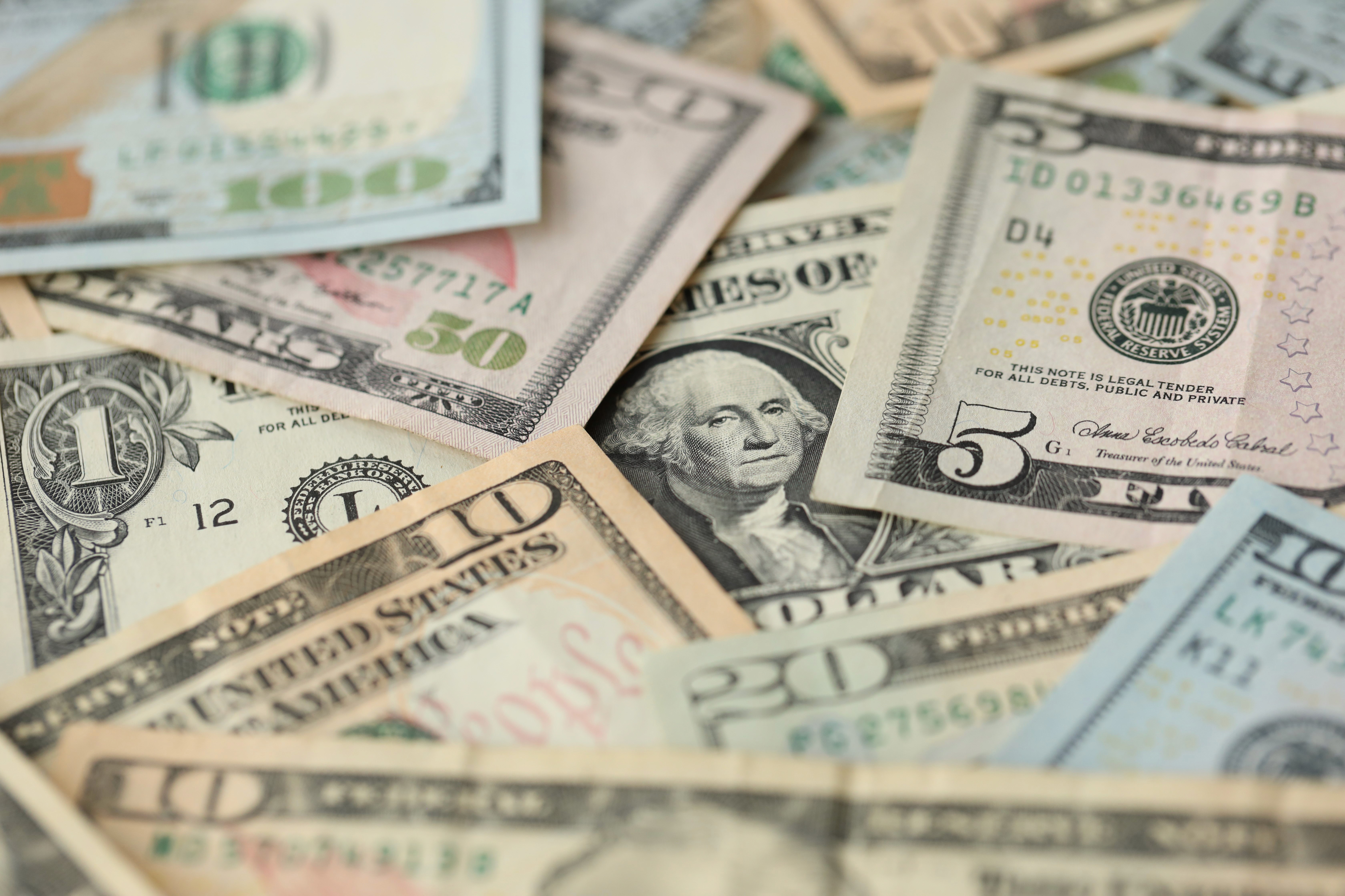 Close-up of lush, dark green leaves, some glossy and wet, against a muted background.