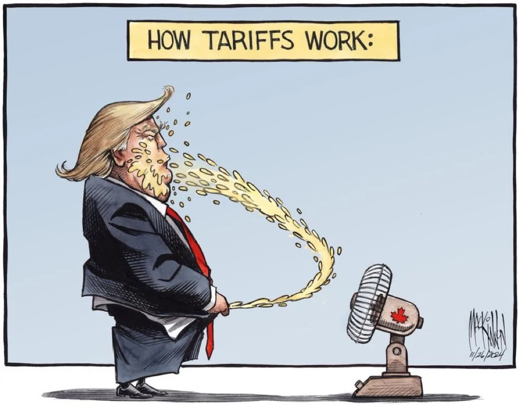 How Trumps Tariffs against his Allies work - by cartoonist Bruce MacKinnon