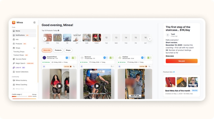 Interface utilisateur de Minea