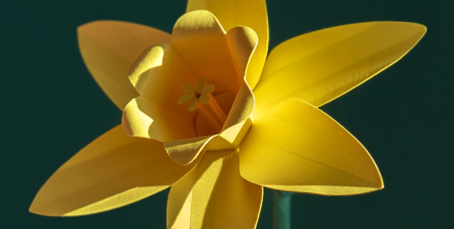 A woman sitting in a photo studio