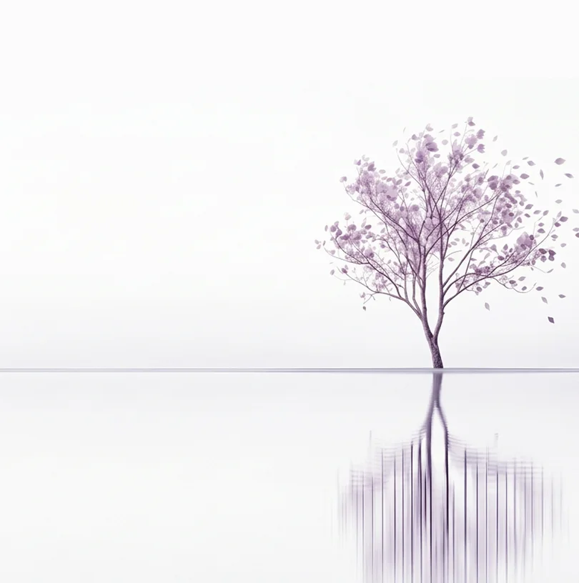 Programs_bg