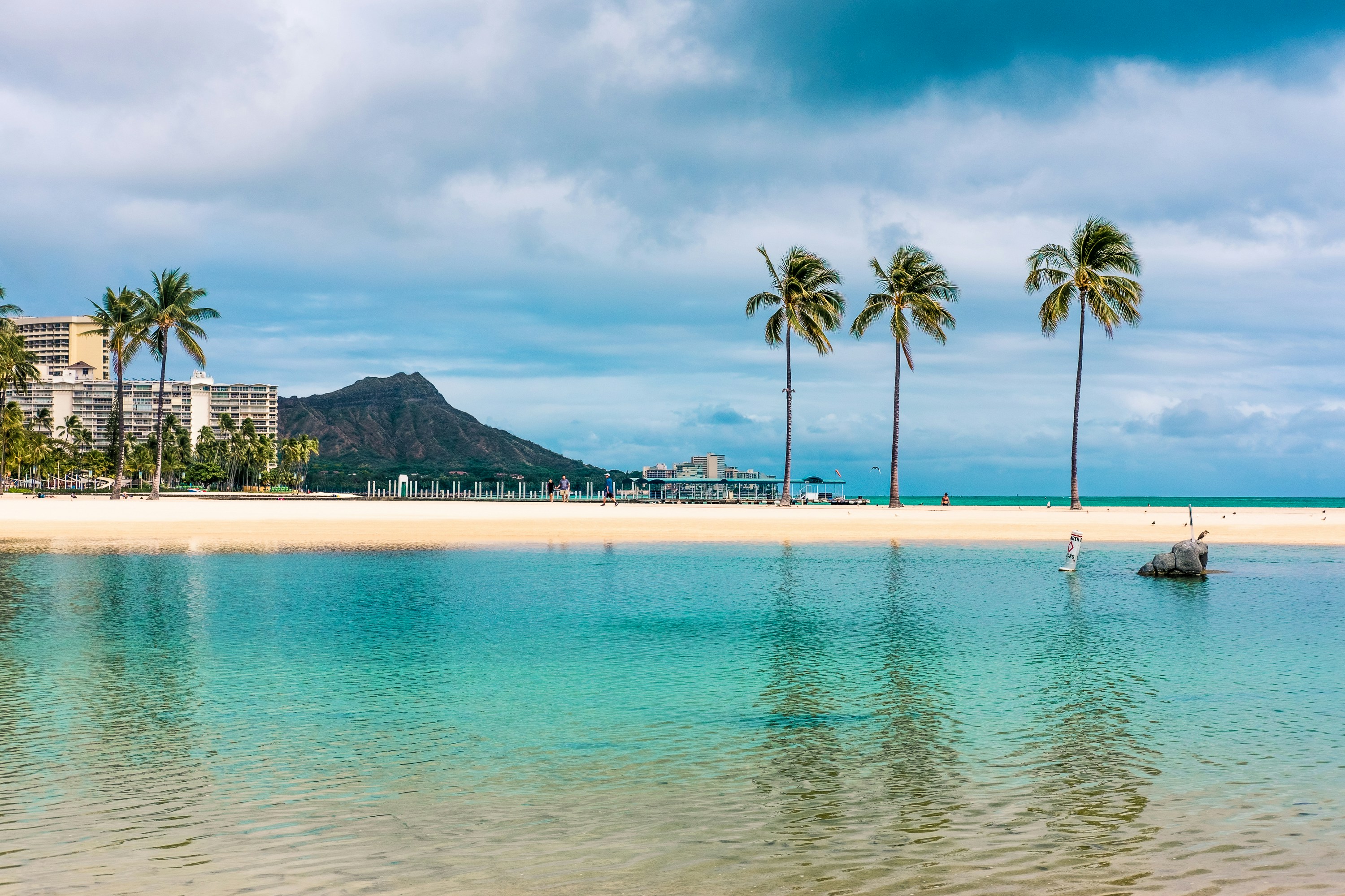 a beach with palm trees and a boat in the water