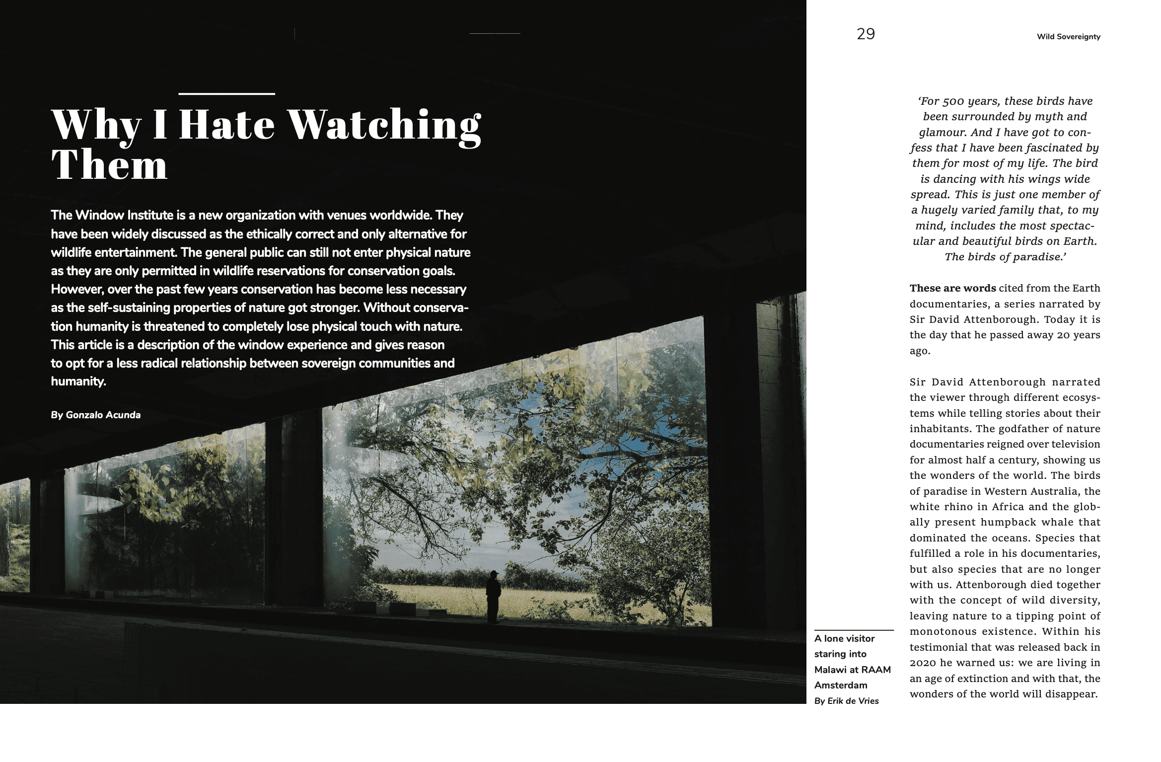 Responsive Image