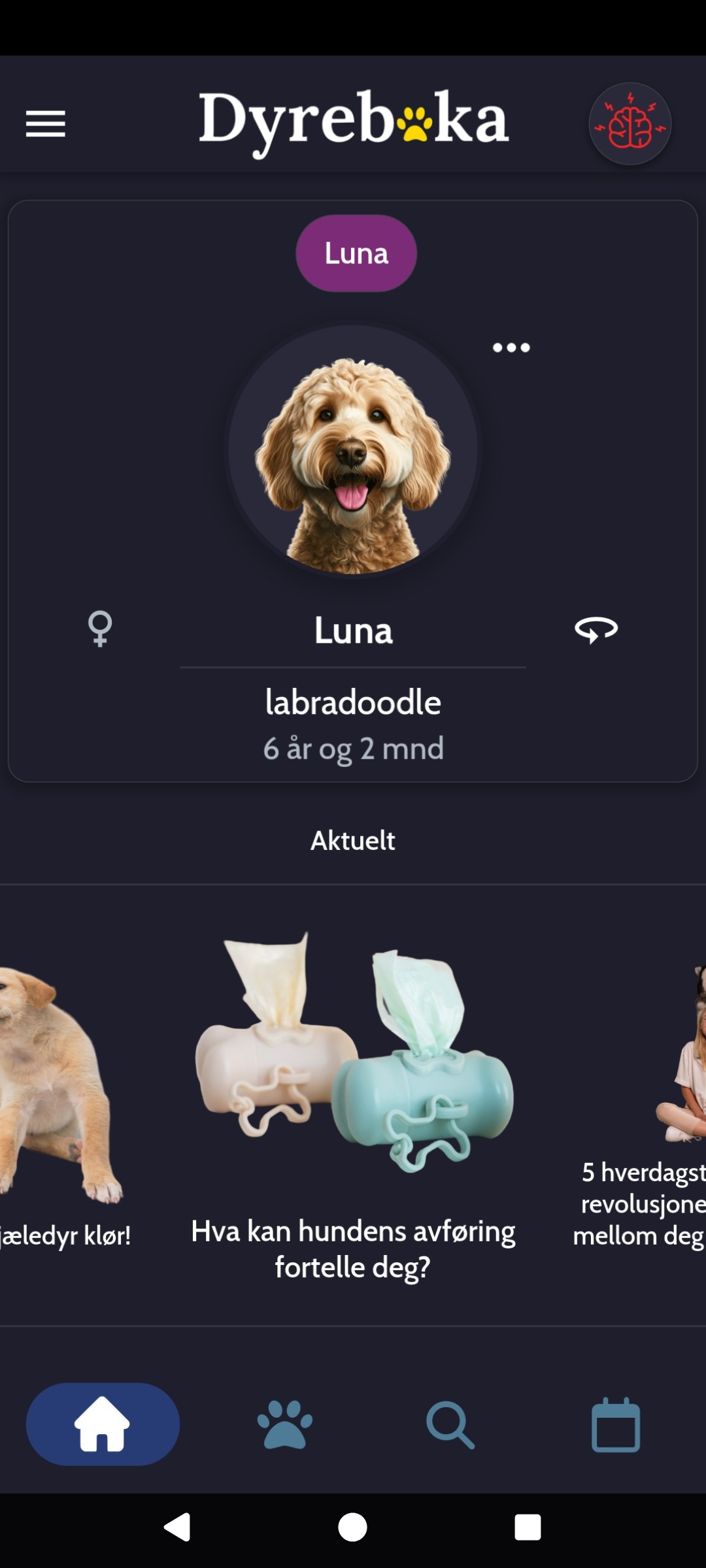 image of PetVitality home screen