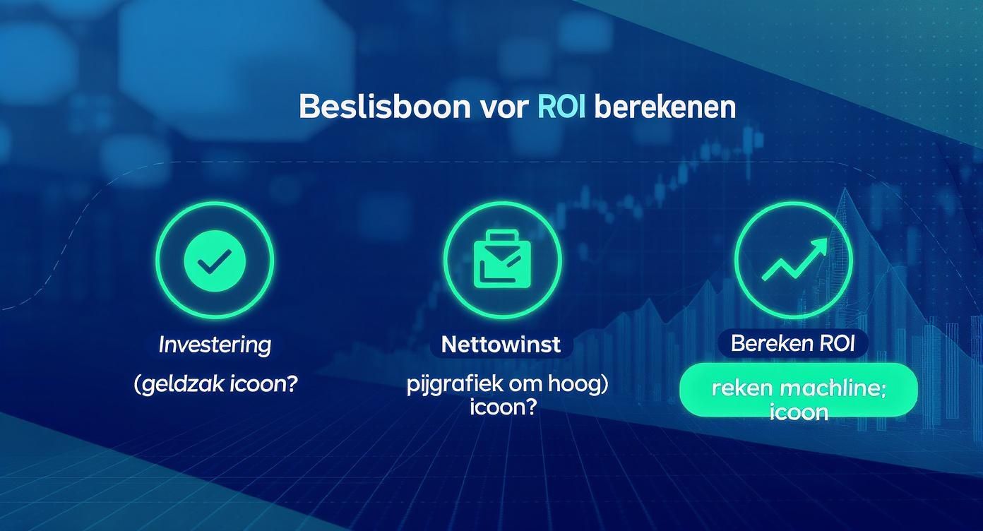 Infographic about return of investment berekenen