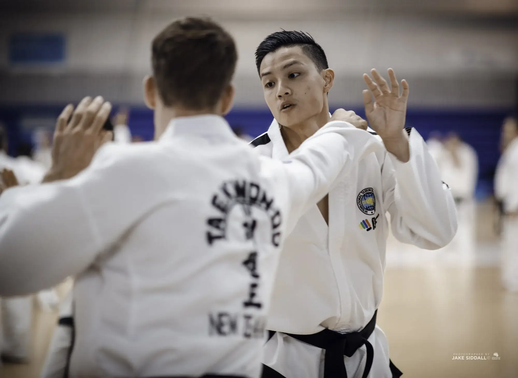 Autumnal Reflections in Urban Tranquility