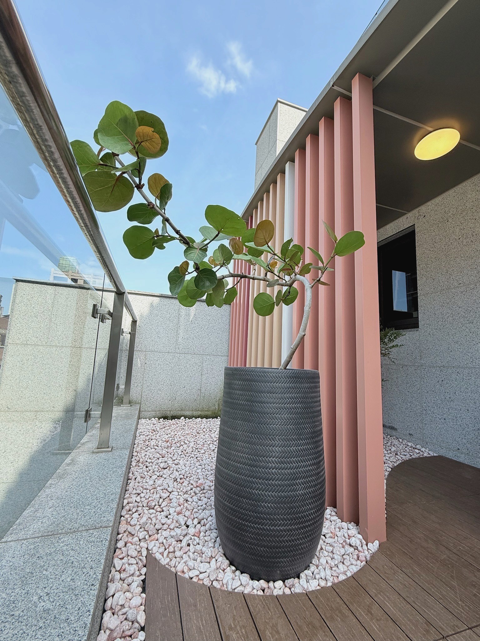 Portfolio project image