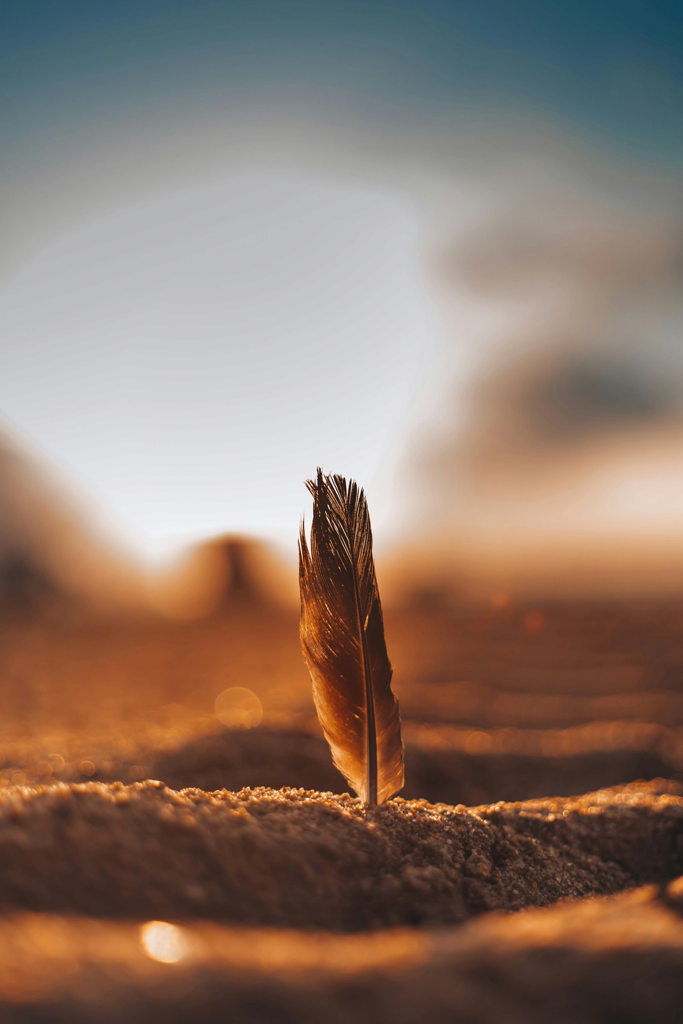 A luxurious indoor pool area with a panoramic view of a city at sunset. Comfortable lounge beds with soft fabrics surround the pool, while warm ambient lighting enhances the sophisticated atmosphere. The space combines modern elegance with a tranquil vibe.