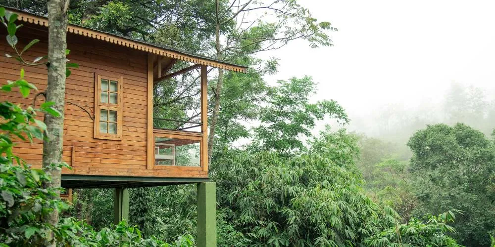 Monsoon in a Wooden Chalet - Why the Rain Makes It Even Better