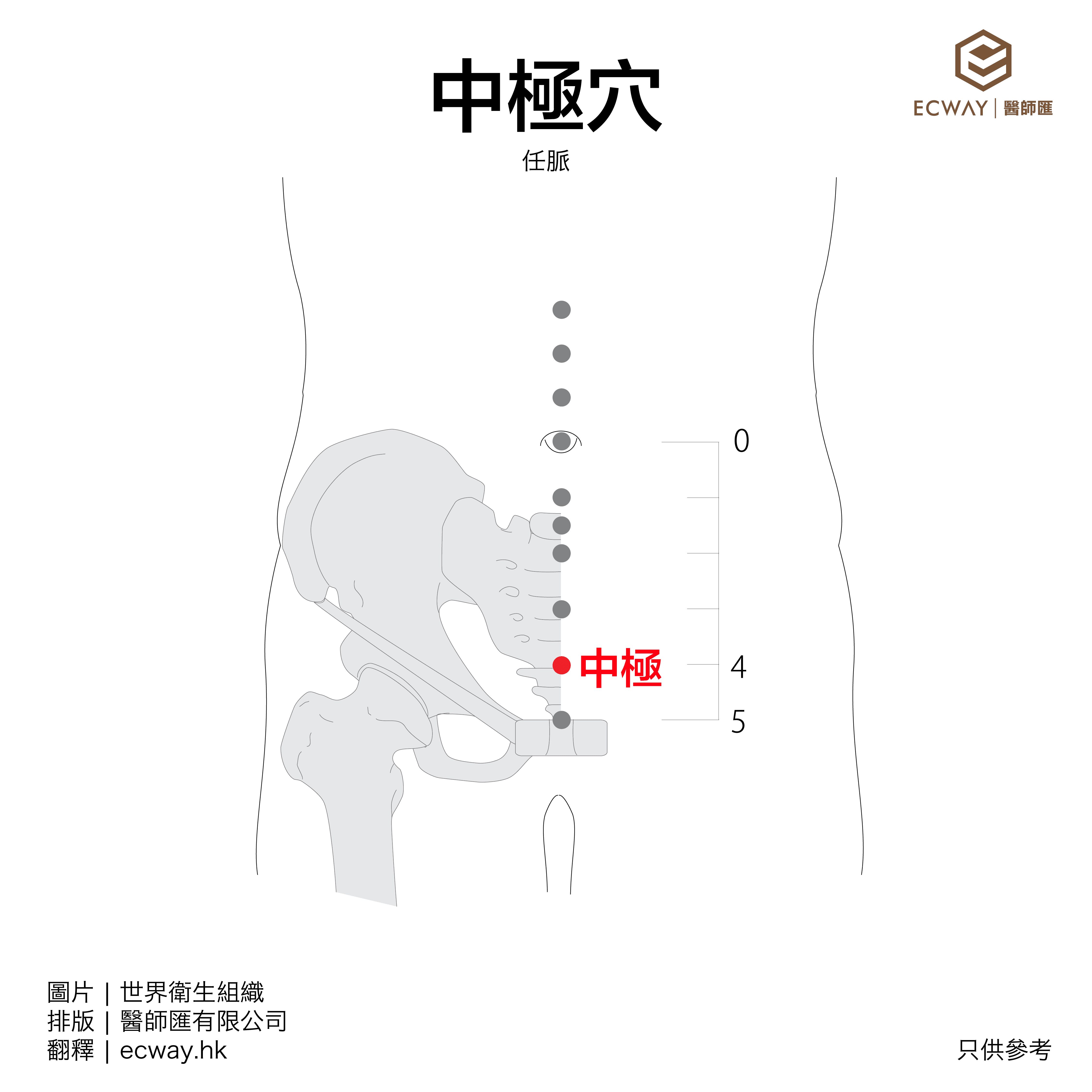 中極穴