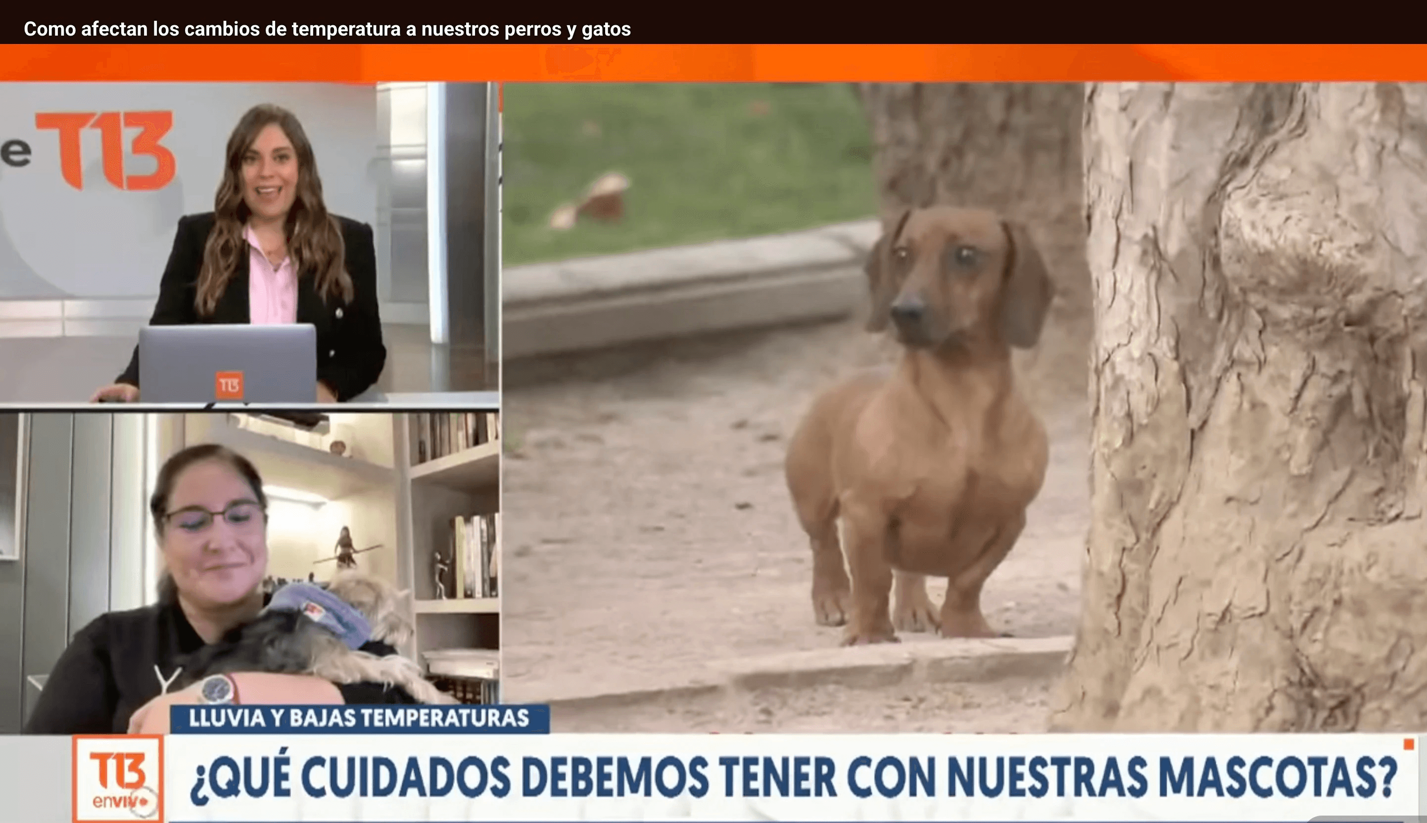 Captura o respaldo documental de la aparición de Aracely Cretier en medios