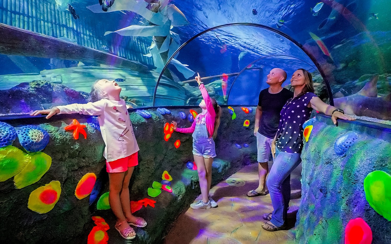 Děti pozorují žraloky a ryby v tunelu v akváriu Sea Life ve Veroně.