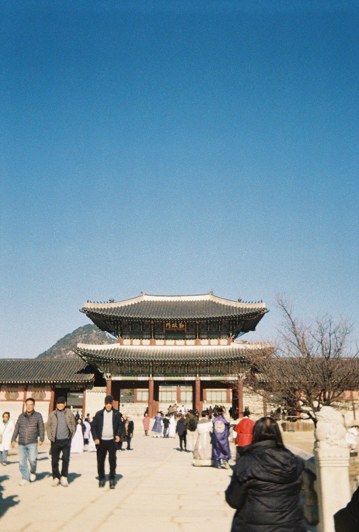 Gallery image 9