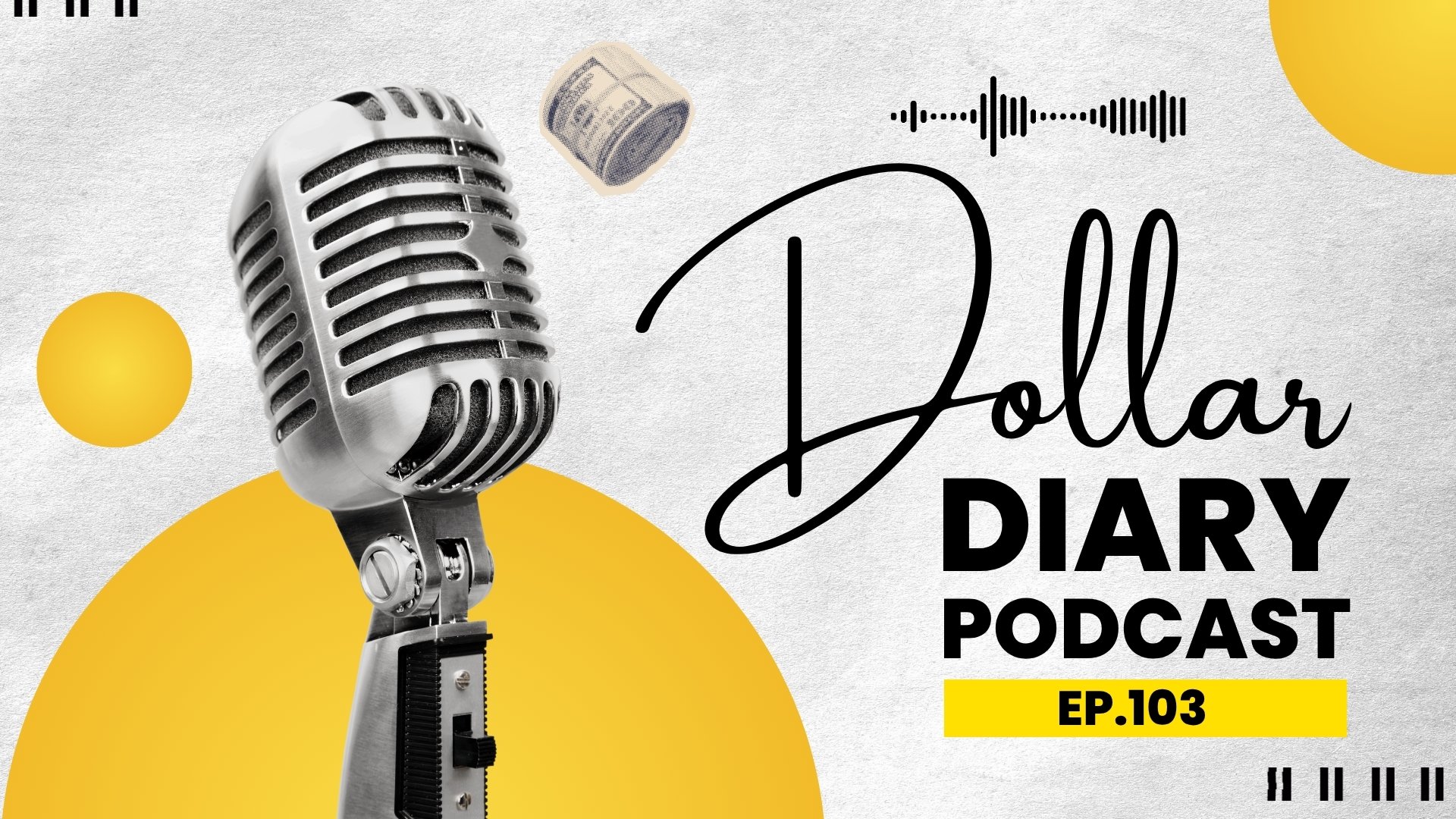 Dollar diary 2
