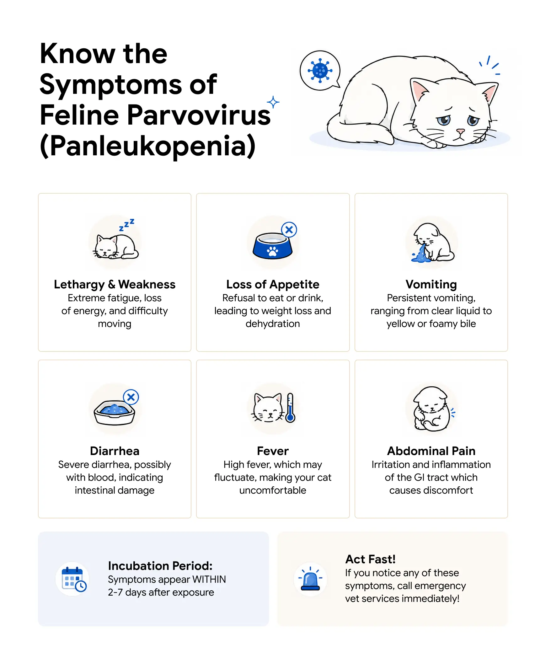 An infographic showing the symptoms of parvo in cats.