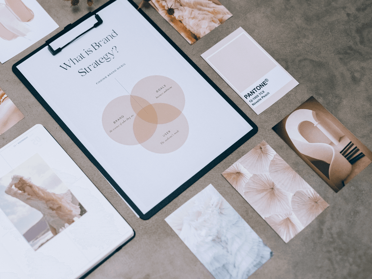 White skincare bottle and sponges in sand with green plants