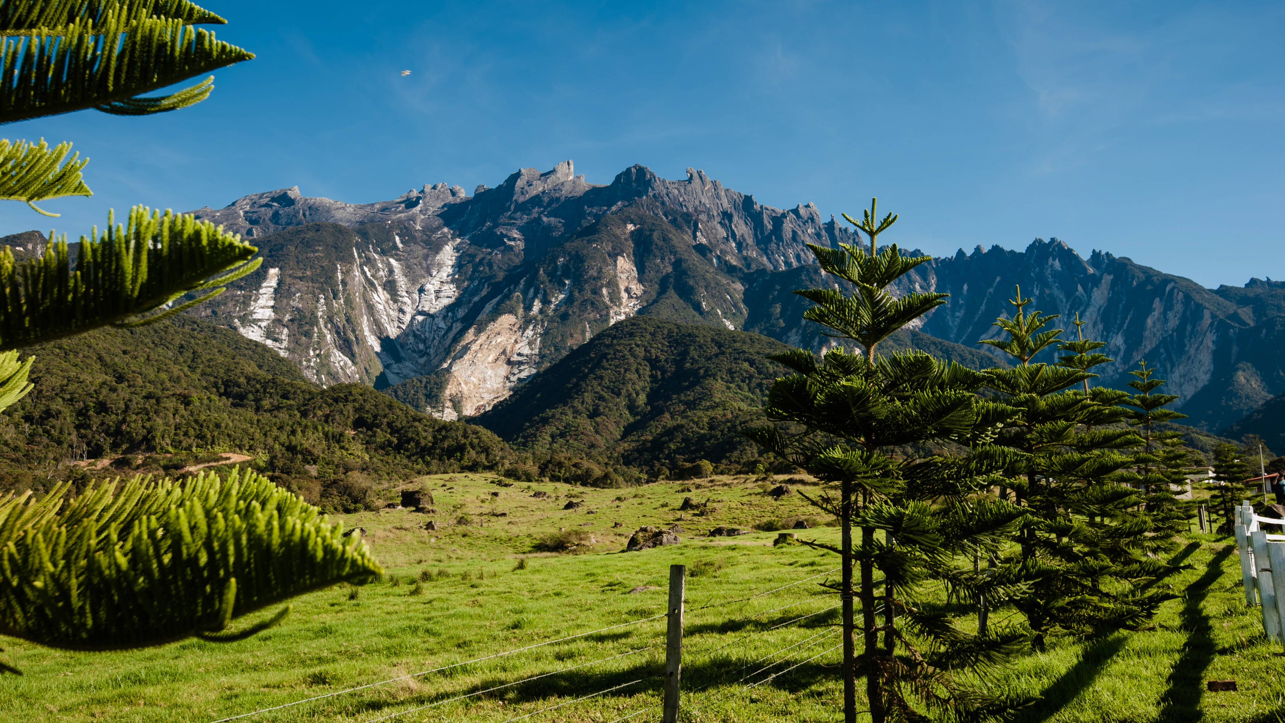 Kinabalu