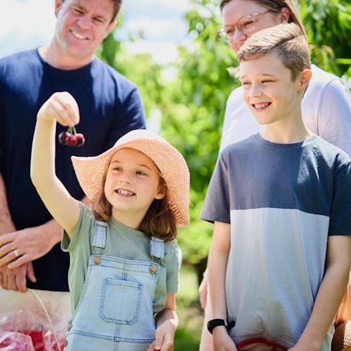 ਇੱਕ ਨੌਜਵਾਨ ਕੁੜੀ ਜੋ ਓਵਰਅਲ ਅਤੇ ਸੂਰਜੀ ਟੋਪ ਪਹਿਨੇ ਹੋਈ है ਚੇਰੀਆਂ ਫੜੀ ਹੋਈਆਂ ਹਨ, ਮੁਸਕਰਾਉਂਦੀ ਹੋਈ ਹੈ, ਅਤੇ ਨੇੜੇ ਤਿੰਨ ਵਡੇ ਲੋਕ ਬਾਹਰ ਕਾਸ਼ਤਕਾਰੀਆਂ ਅਤੇ ਸੁੱਚੇ ਹਰੇ ਮਾਹੌਲ ਵਿੱਚ ਹਨ।