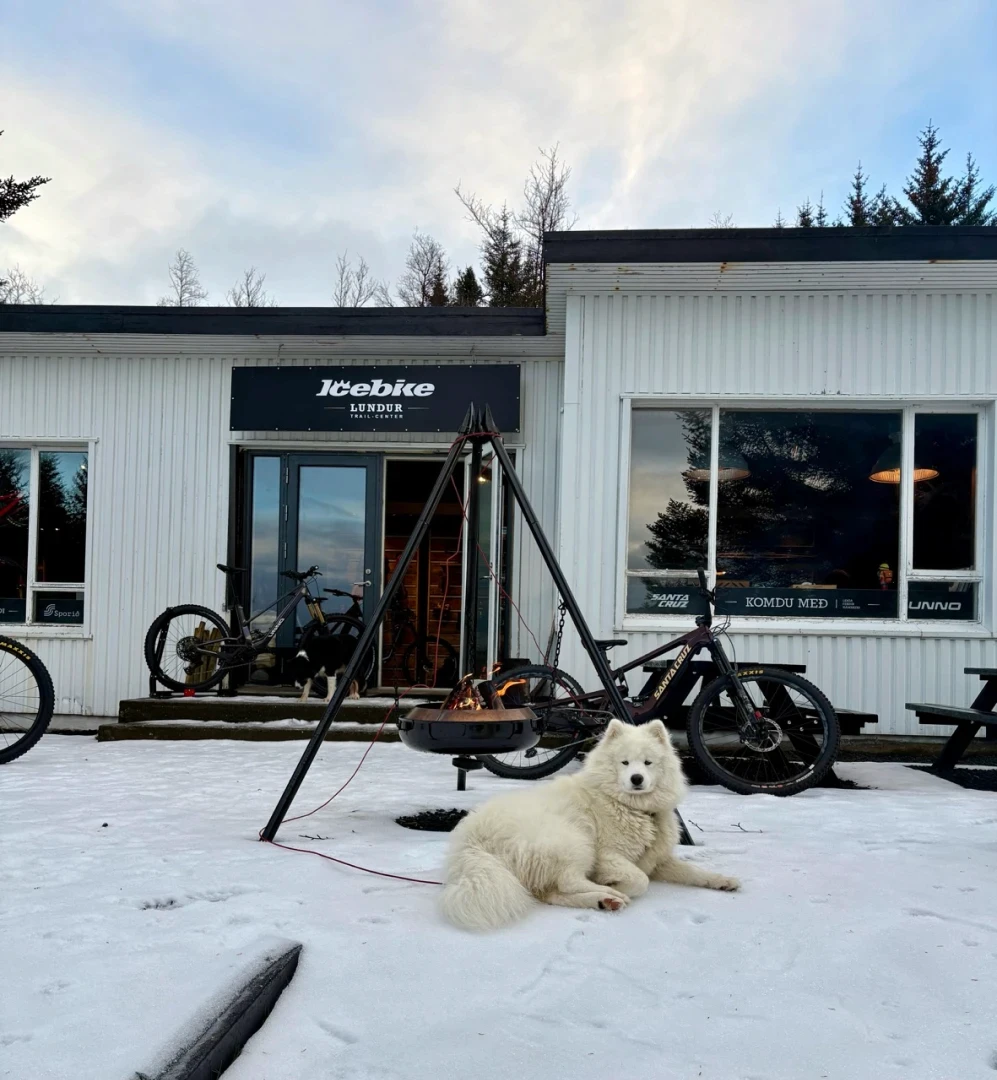 A samoyed dog in foreground lies on snow in front of trailcenter Lundur