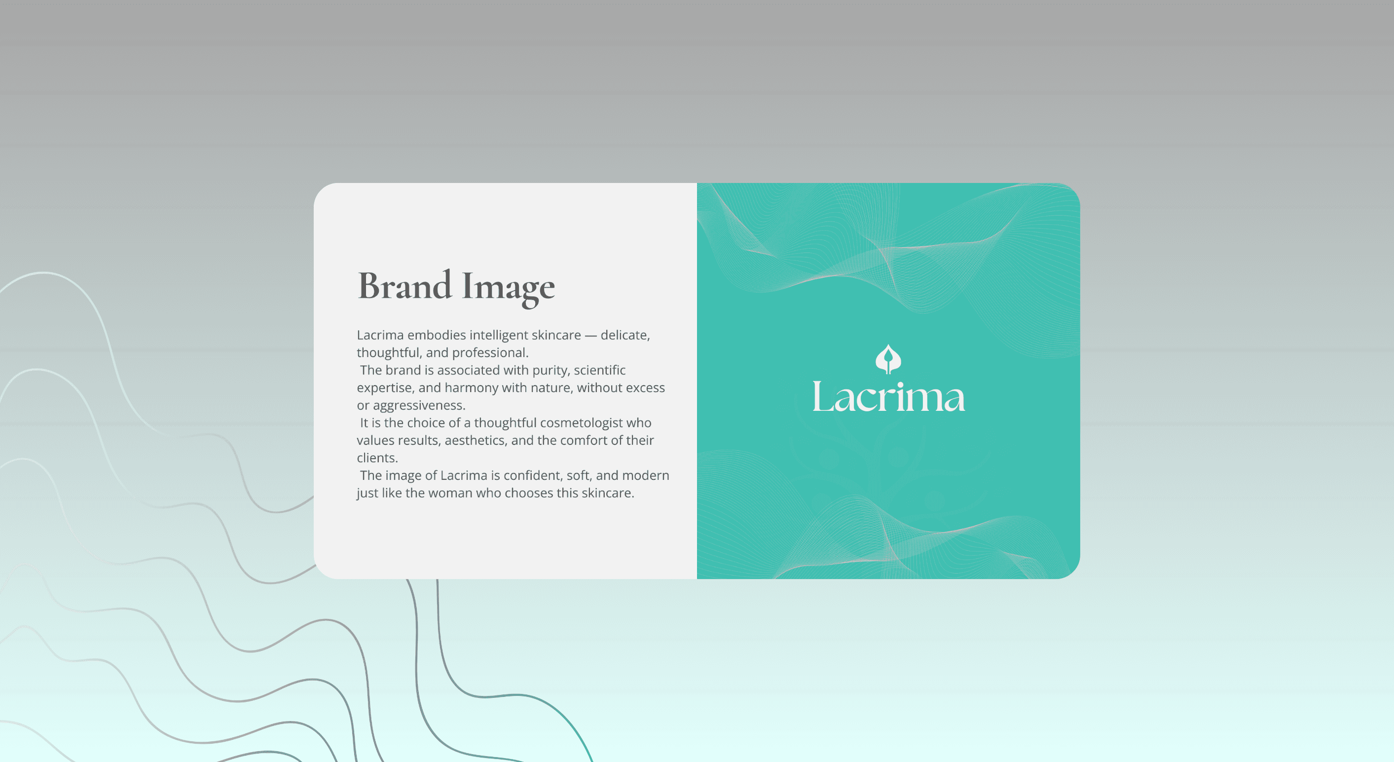 Large Project Gallery Image #1