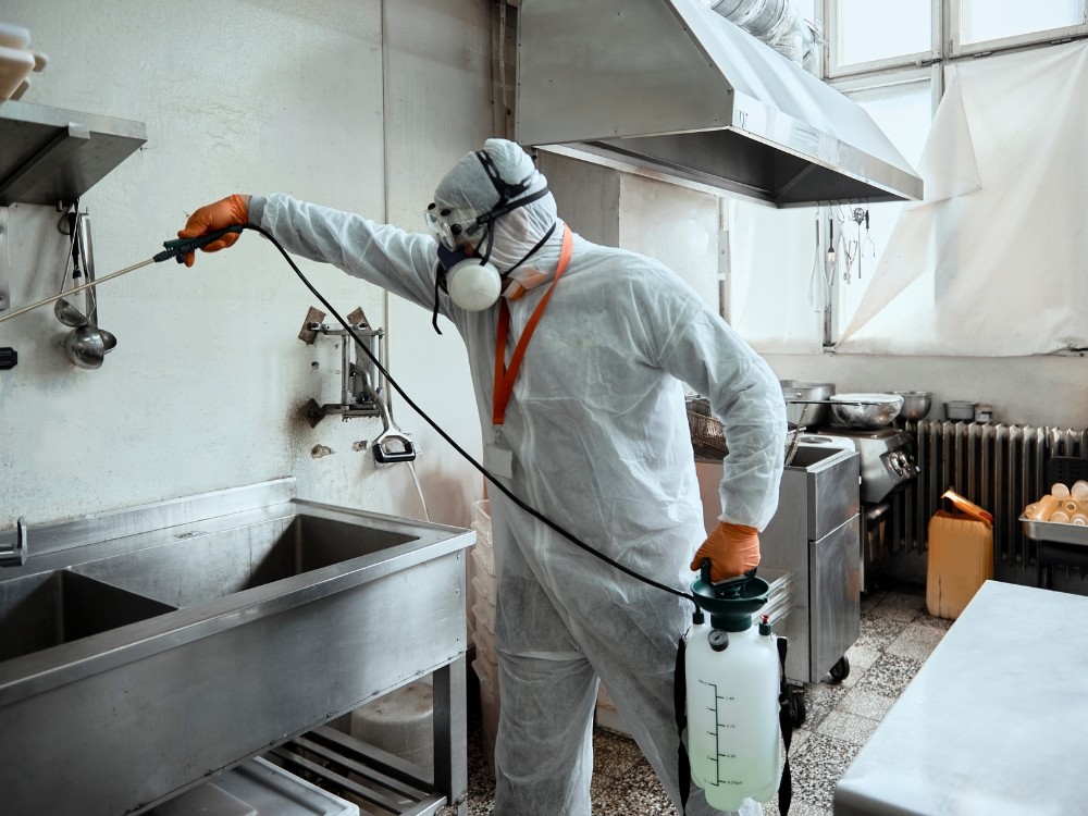 Homme qui désinfecte une cuisine
