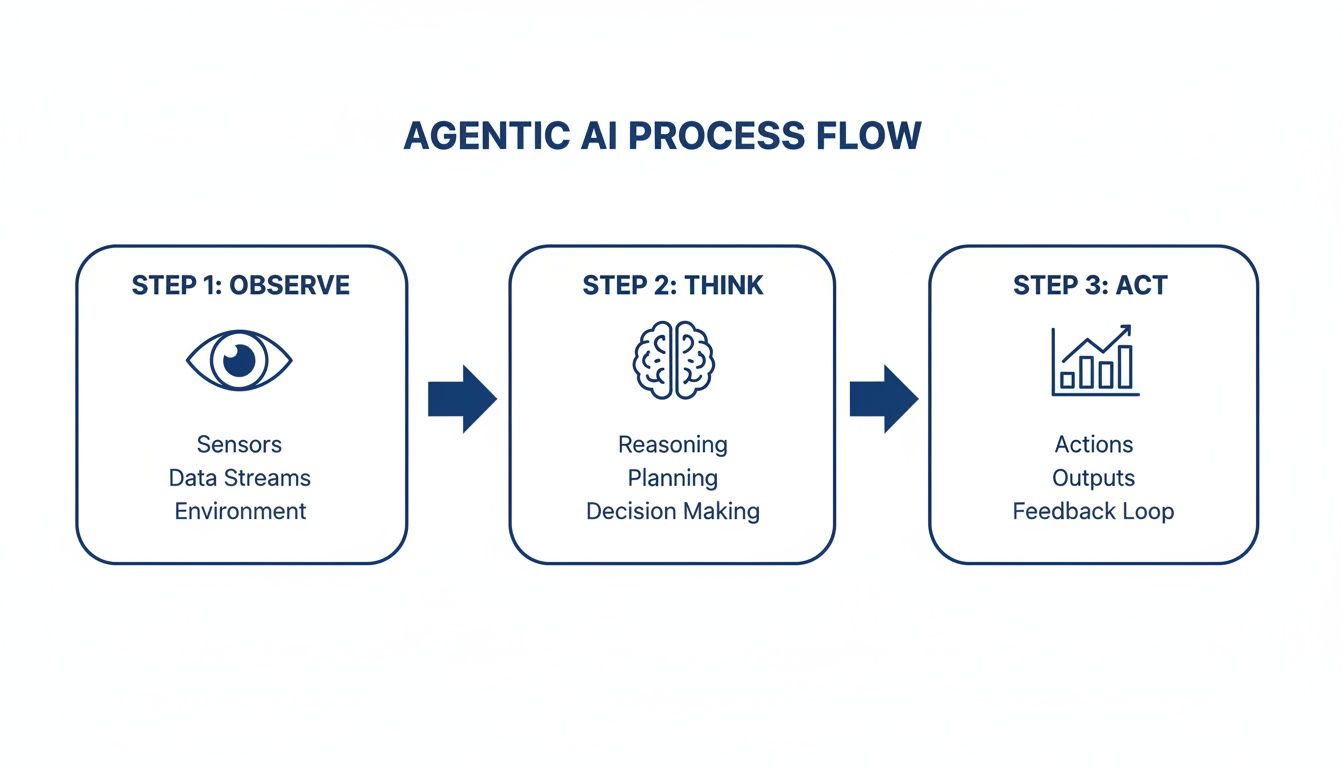 Diagram illustrating the Agentic AI process flow: Observe, Think, Act, with key components for each step.