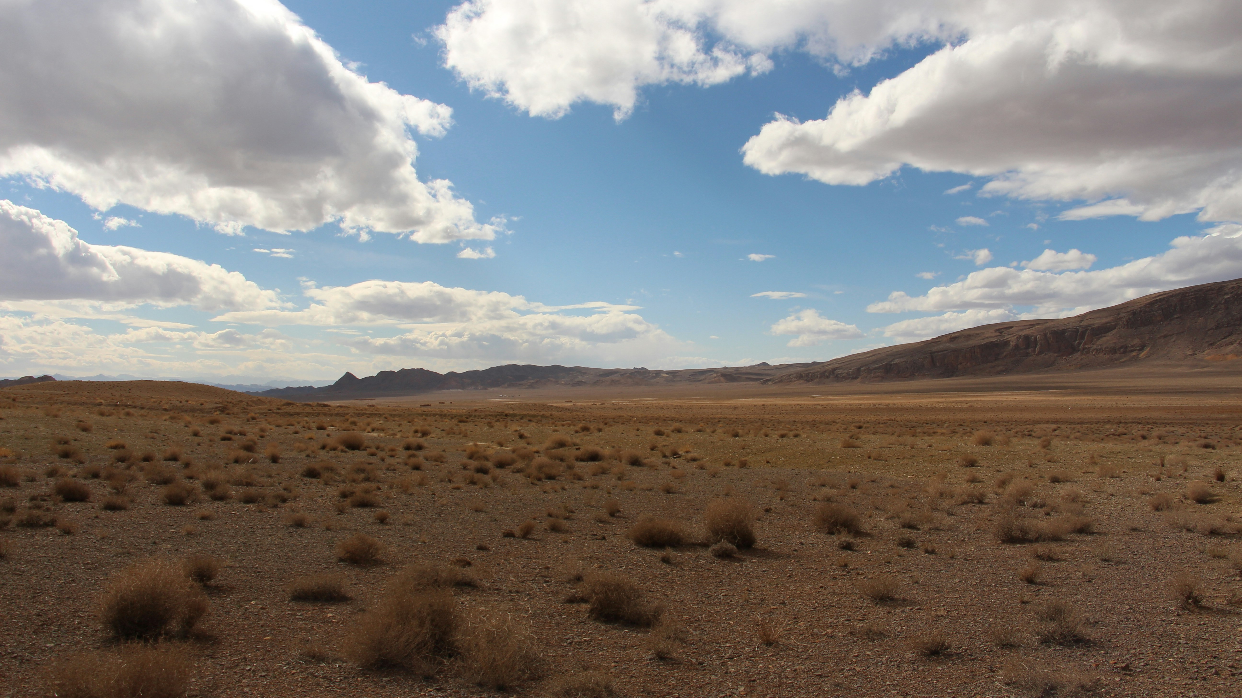 a desert with sparse grass and mountains in the background