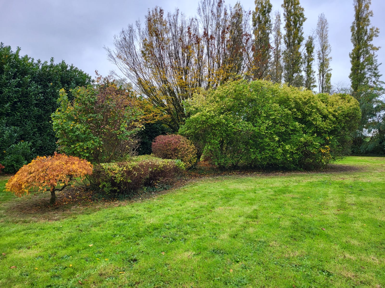 jardin avec un massif