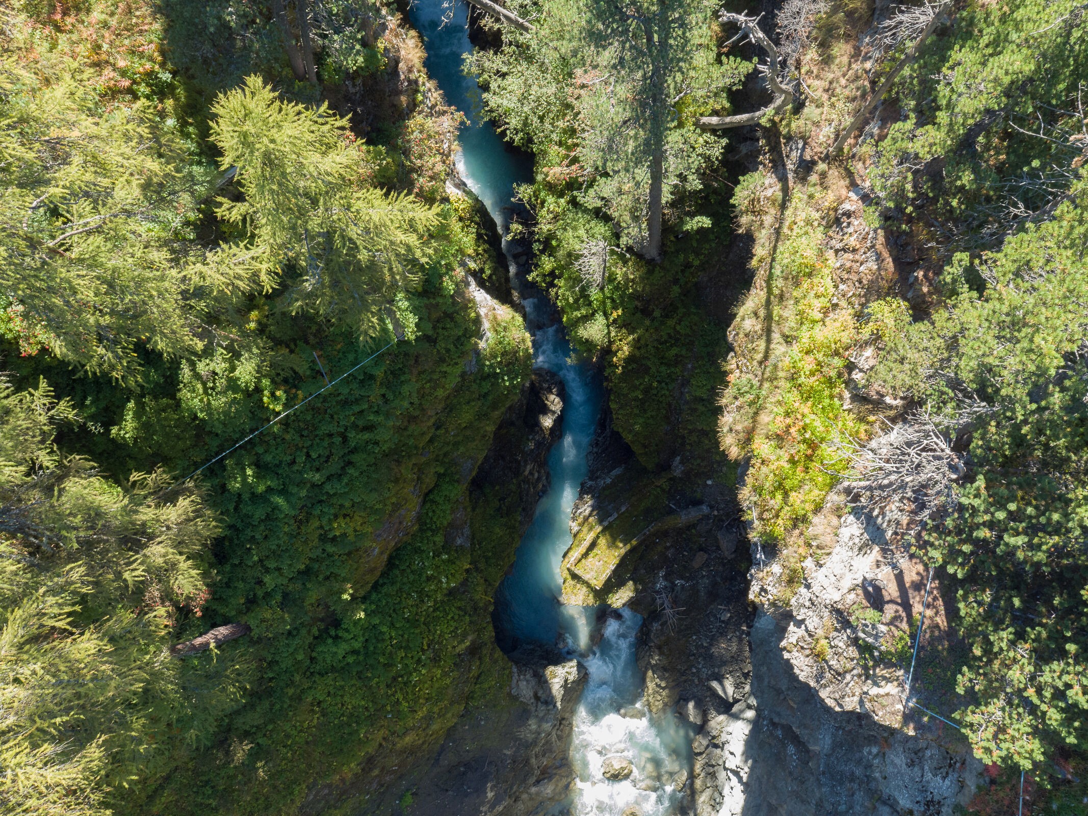 photo from unsplash as placeholder
