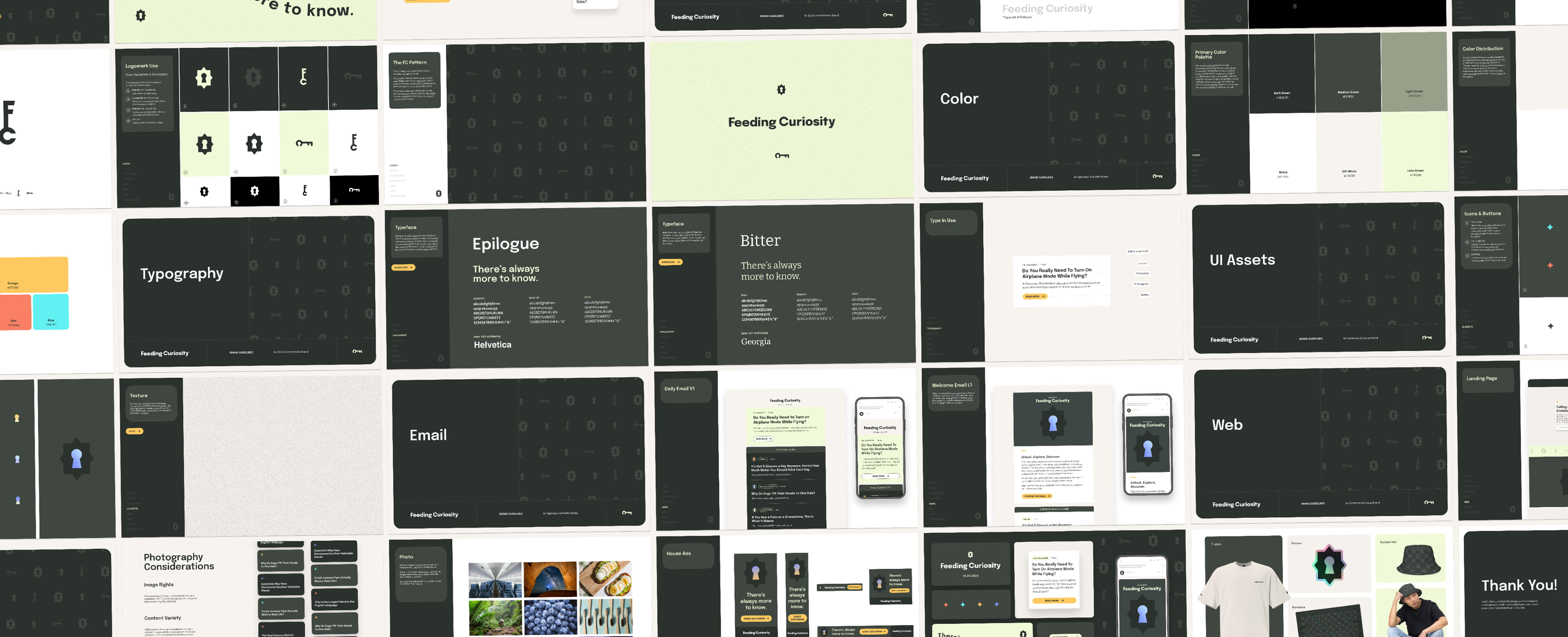 Feeding Curiosity brand guidelines
