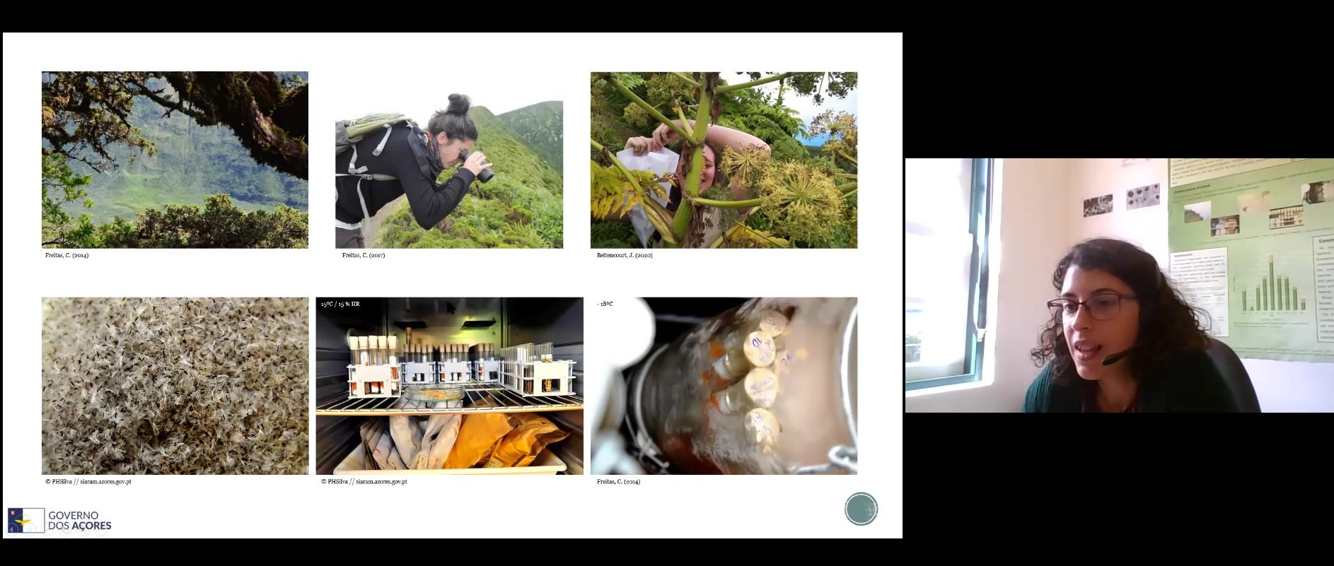 Apresentação on-line sobre o Banco de Sementes dos Açores, com slide de fotos de coleta e palestrante em vídeo