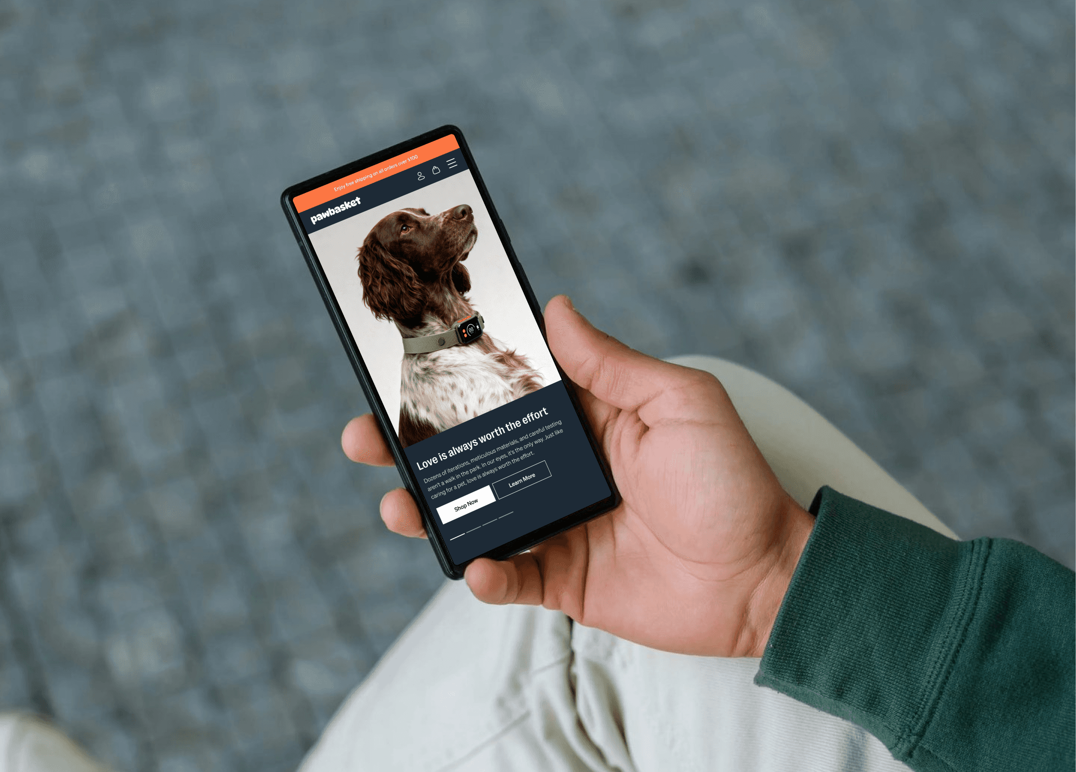 pawbasket website by crovixo