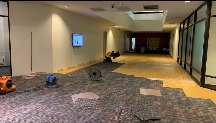 Adhesive spread across the corridor subfloor with the first carpet tiles set
