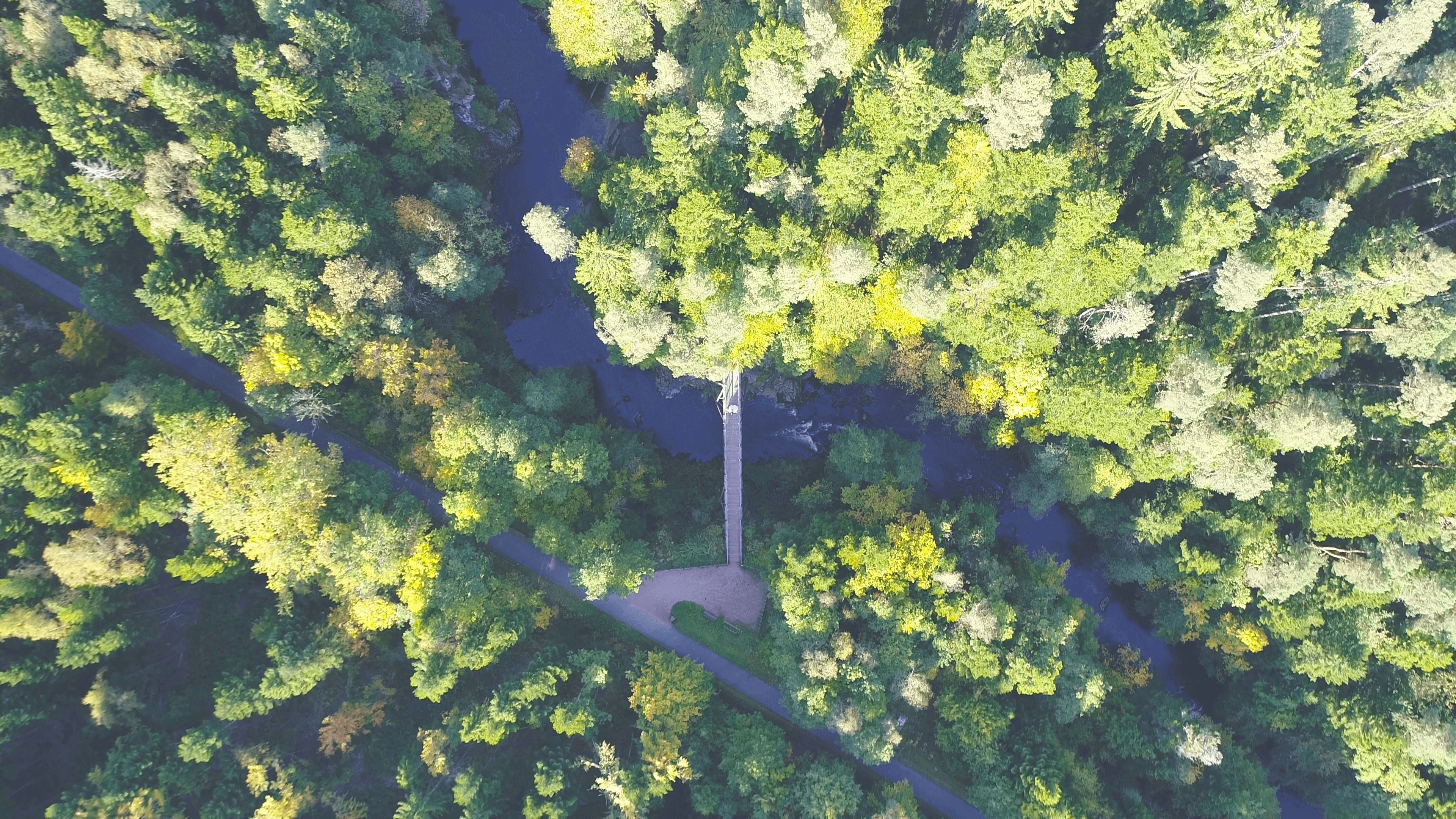 Silhouetted band members play instruments in a smoky warehouse, backlit by vibrant orange and teal lights, creating a moody, dramatic ambiance.