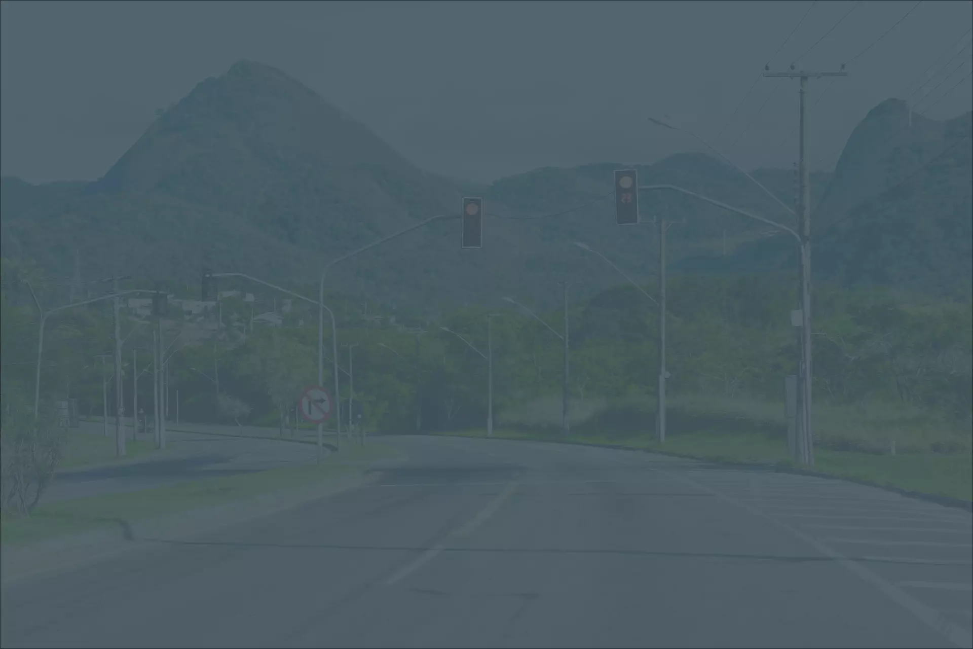 Street with street signs and utility poles