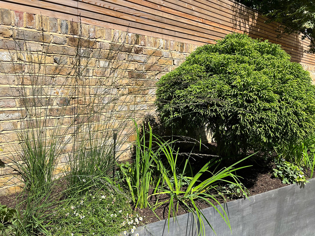 Lush greenery next to a textured stone wall, with a mix of plants and shrubbery in a sunny outdoor setting.