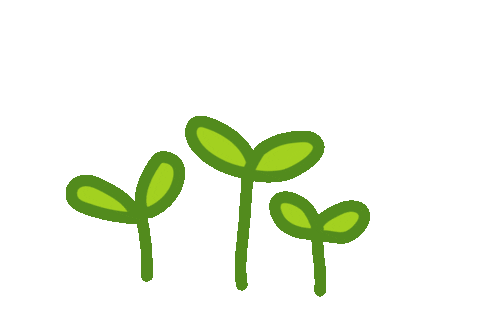 Vector